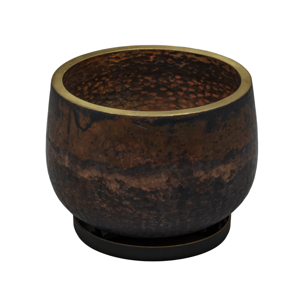 Rin (Black) / Insulator