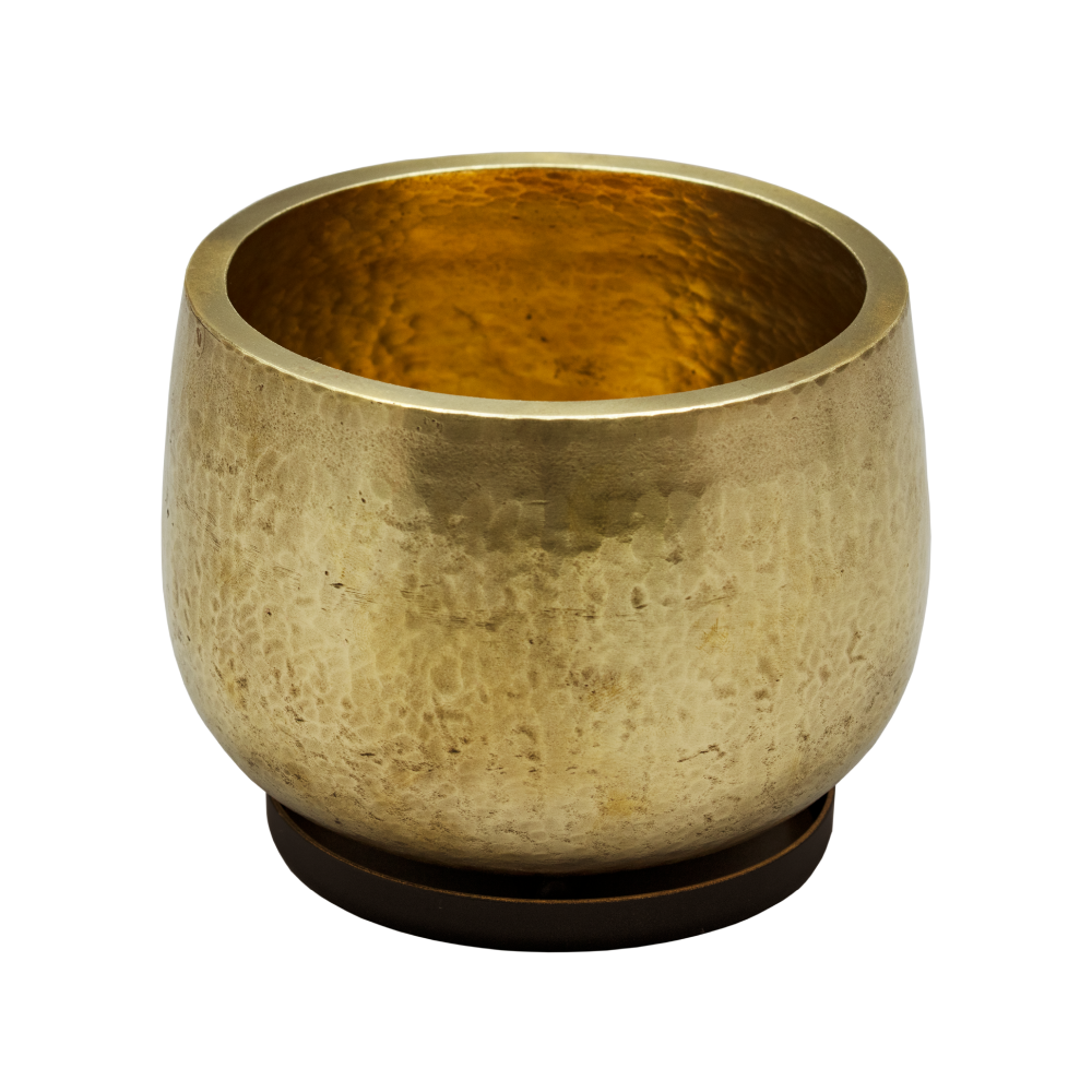 Rin (Gold) / Insulator